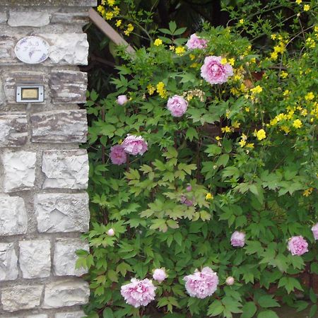 B&B Il Glicine Bedizzole Экстерьер фото