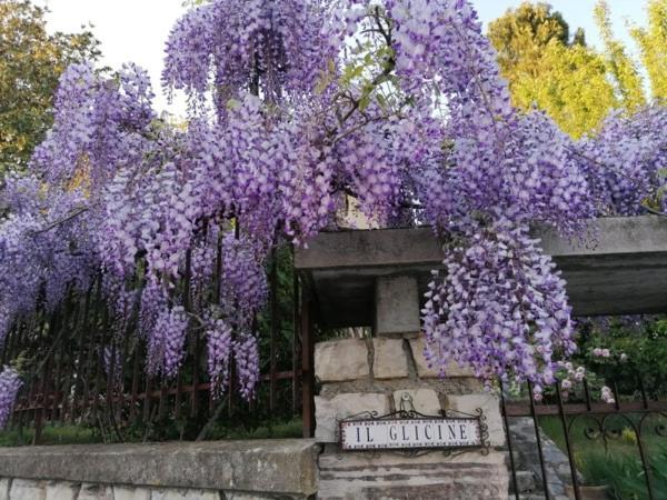 B&B Il Glicine Bedizzole Экстерьер фото