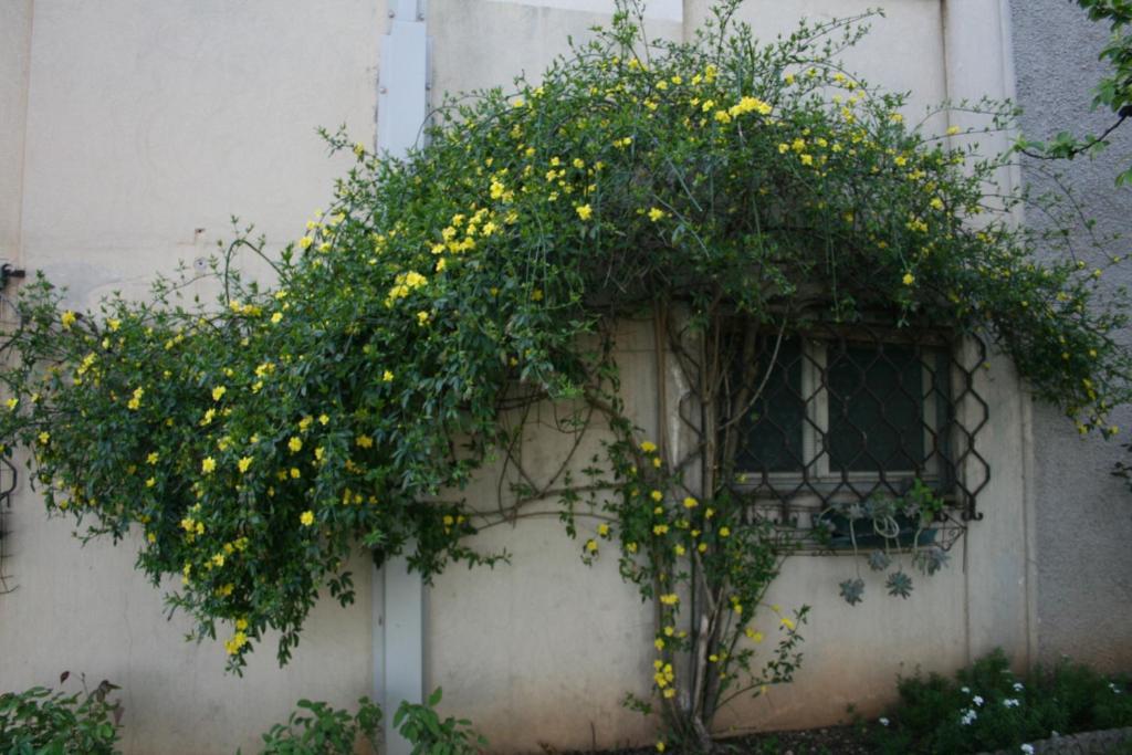 B&B Il Glicine Bedizzole Экстерьер фото