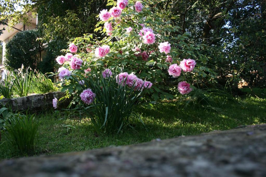 B&B Il Glicine Bedizzole Экстерьер фото
